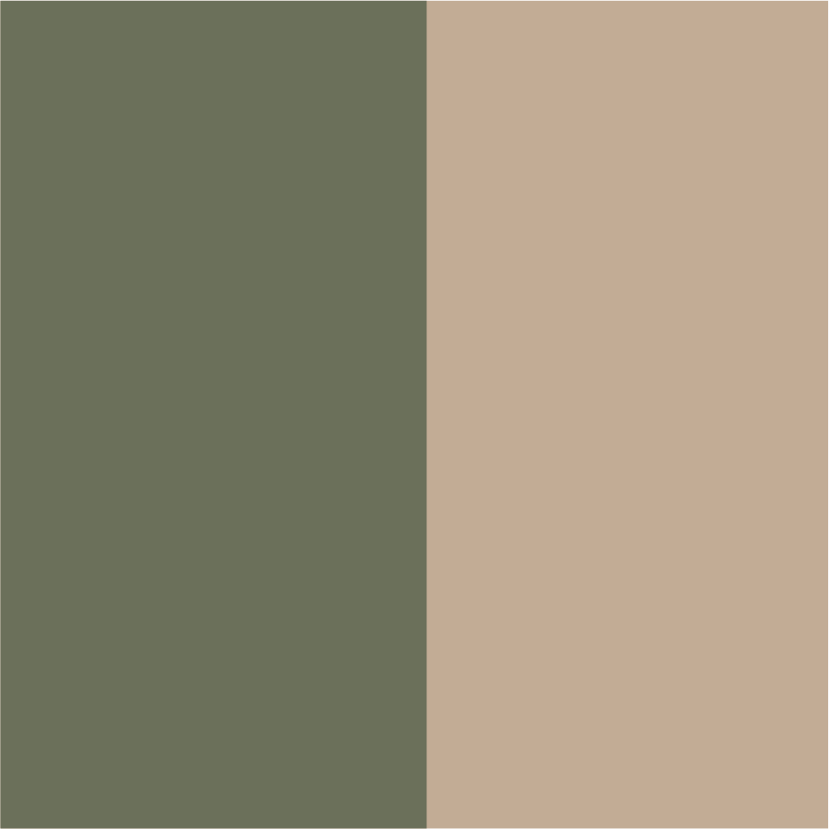 olive stone colour chart